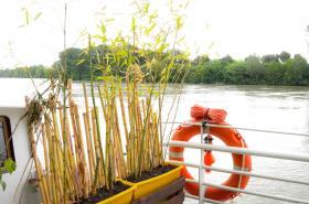 Péniche Spa Le Makara - photo 6