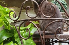 Hôtel Boquier - photo 7