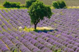 Hotel Cristol - photo 13