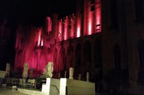 Hôtel du Palais des Papes - photo 8