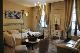 Hôtel du Palais des Papes - photo 24