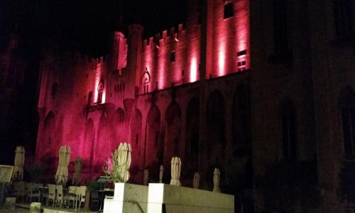 Hôtel du Palais des Papes - photo 3