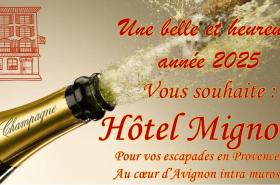 Hotel Mignon - photo 27