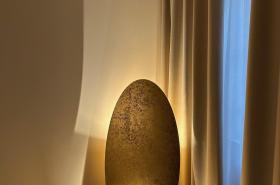 Hôtel Le Médiéval Palais des Papes - photo 6