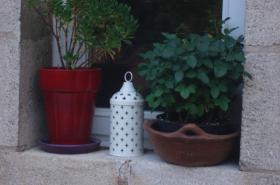 Maison Velvet - photo 7