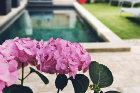 La Maison Grivolas - photo 6