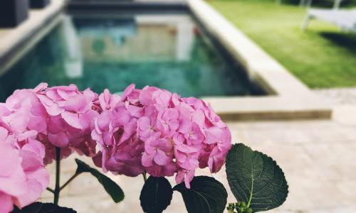 La Maison Grivolas - photo 3