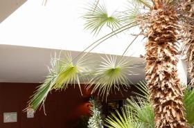 Hôtel Le Paradou - photo 11