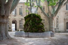 Hôtel le Cloître Saint-Louis - photo 23