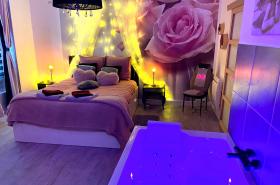 COSY & SPA Appartement Luxe JACUZZI SAUNA Suite Cristal - photo 22